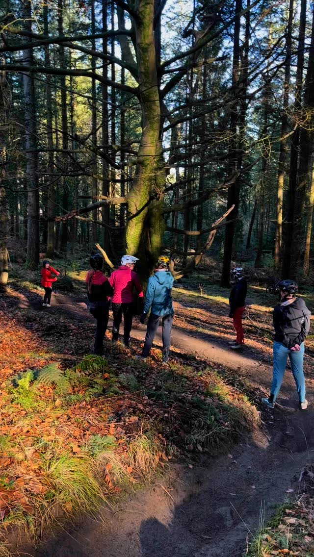 Ferns, turns and steeps on today’s Regs Tribe session with Katy Curd.
After some time off the bikes, this was the perfect session to reset and push ourselves—drilling techniques and putting them to the test on different trails.
Katy ab