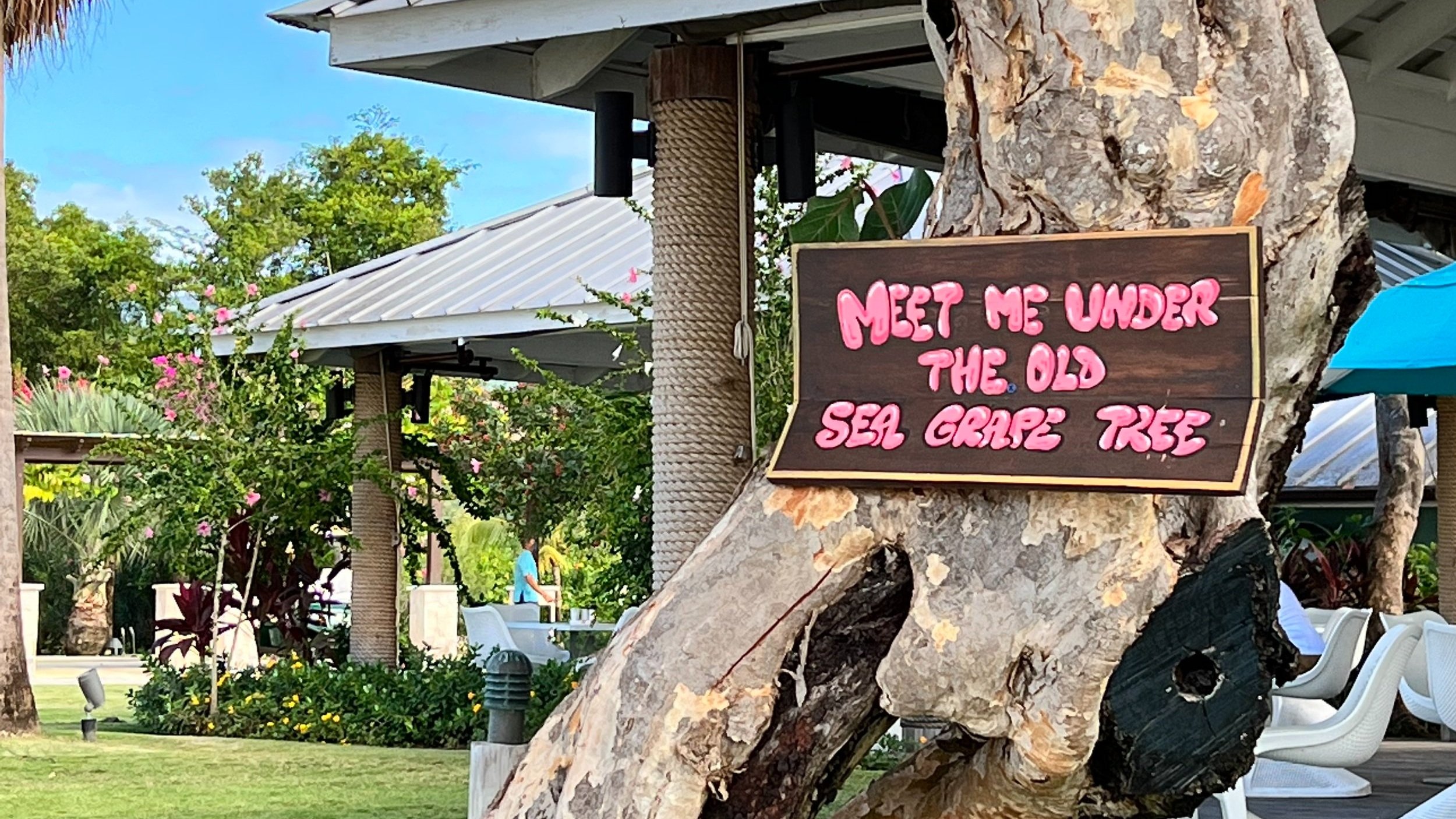 Sandals+South+Coast+Tree.jpg