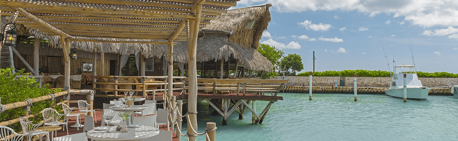 La Yola Tortuga Bay.png
