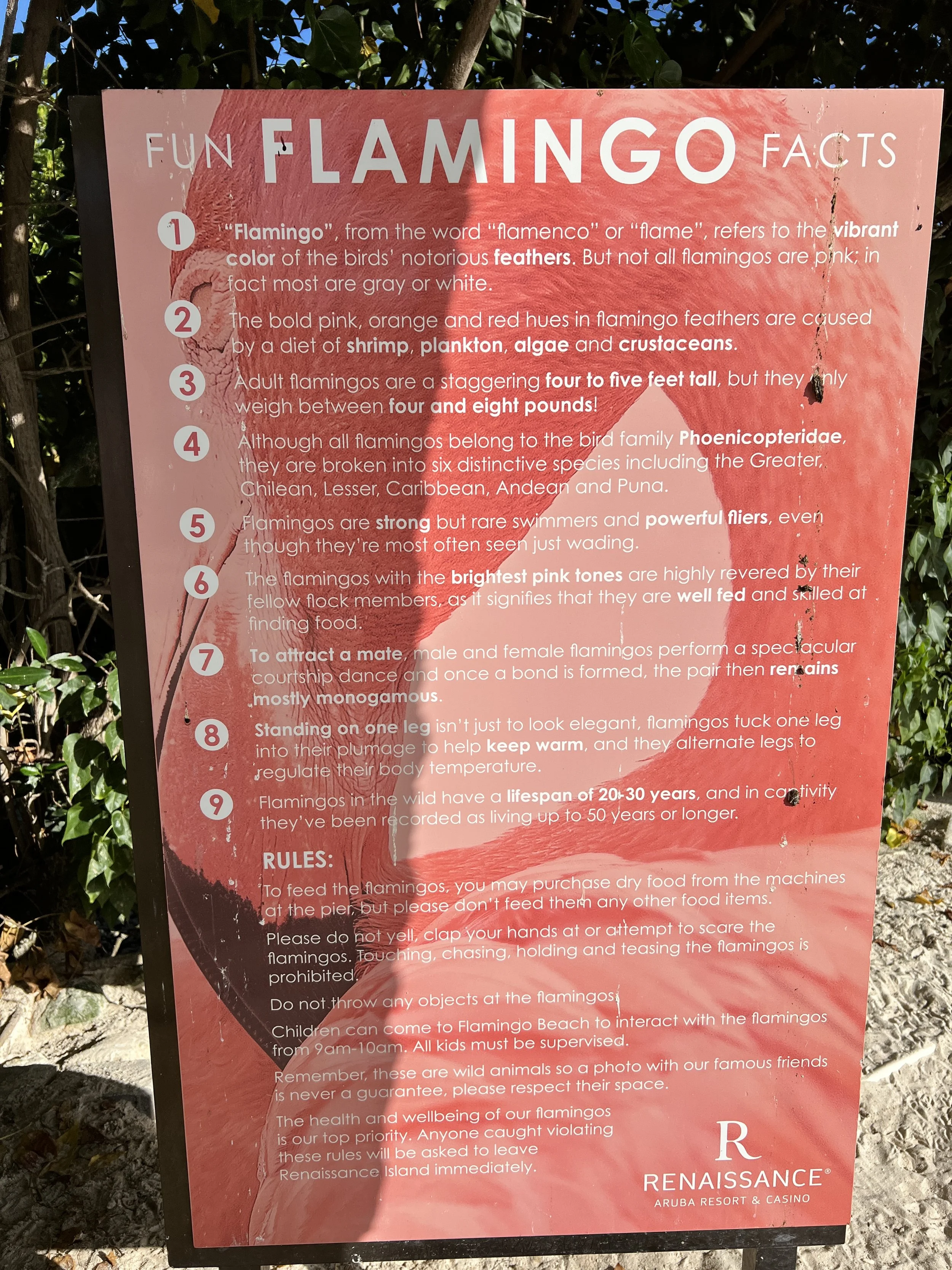 Photo Jun 01, 5 06 09 PM (1).jpg