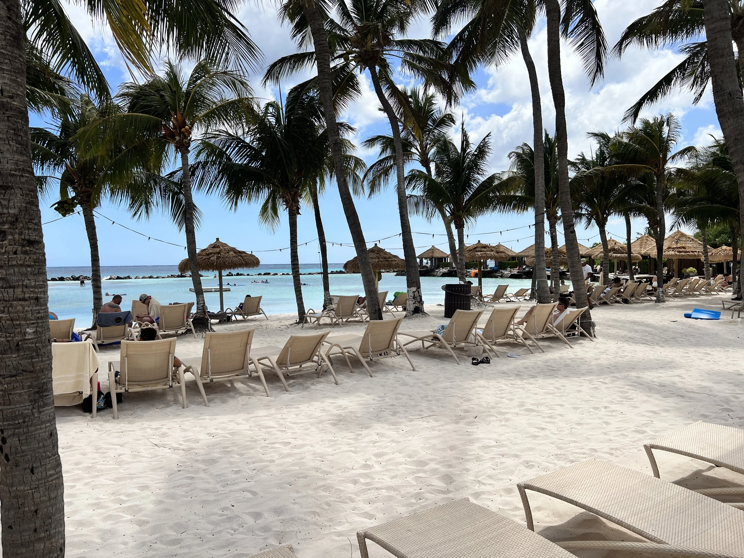 Photo Jun 01, 2 35 33 PM.jpg