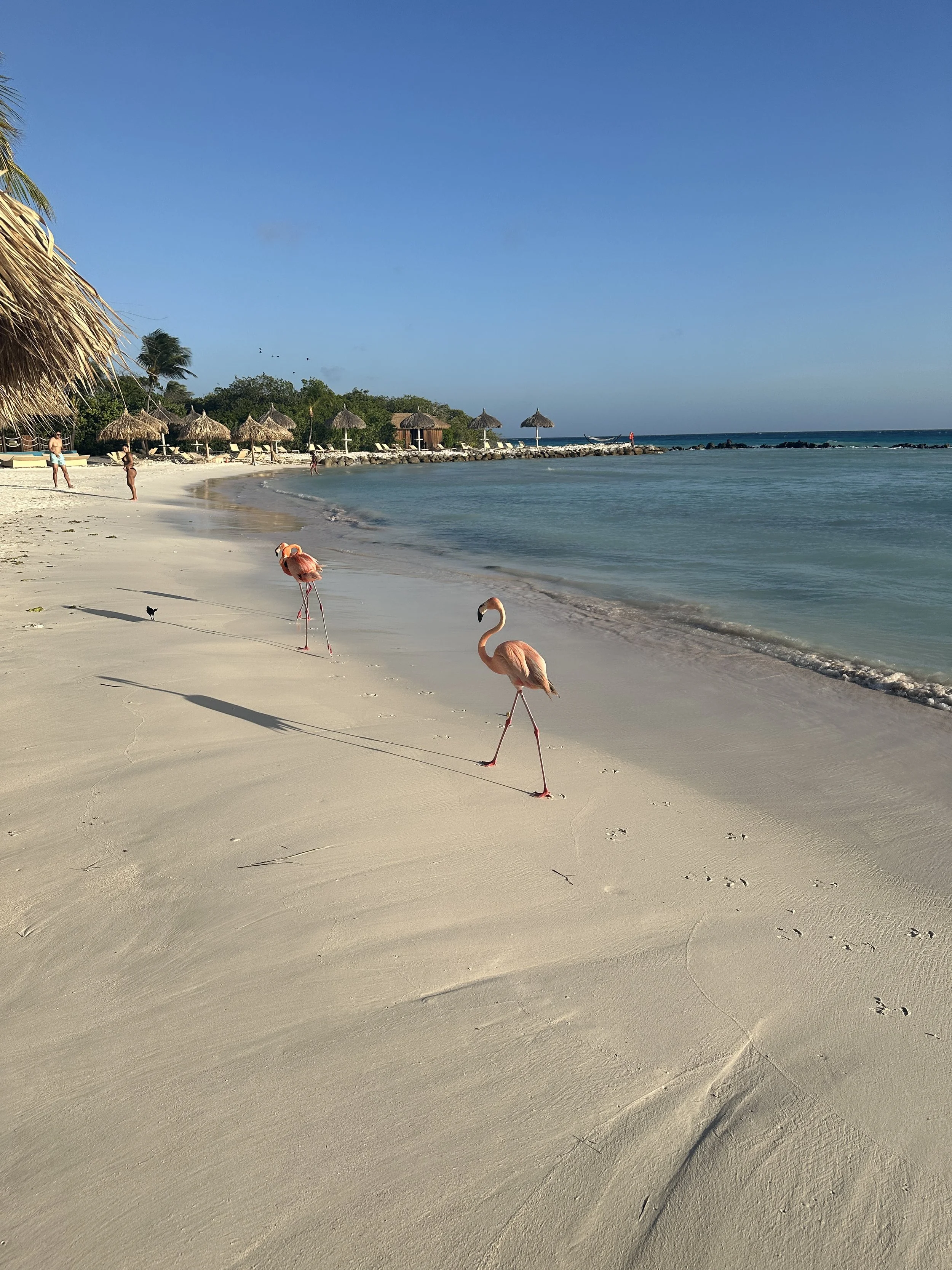 2024-05-20 17.53.40.jpg