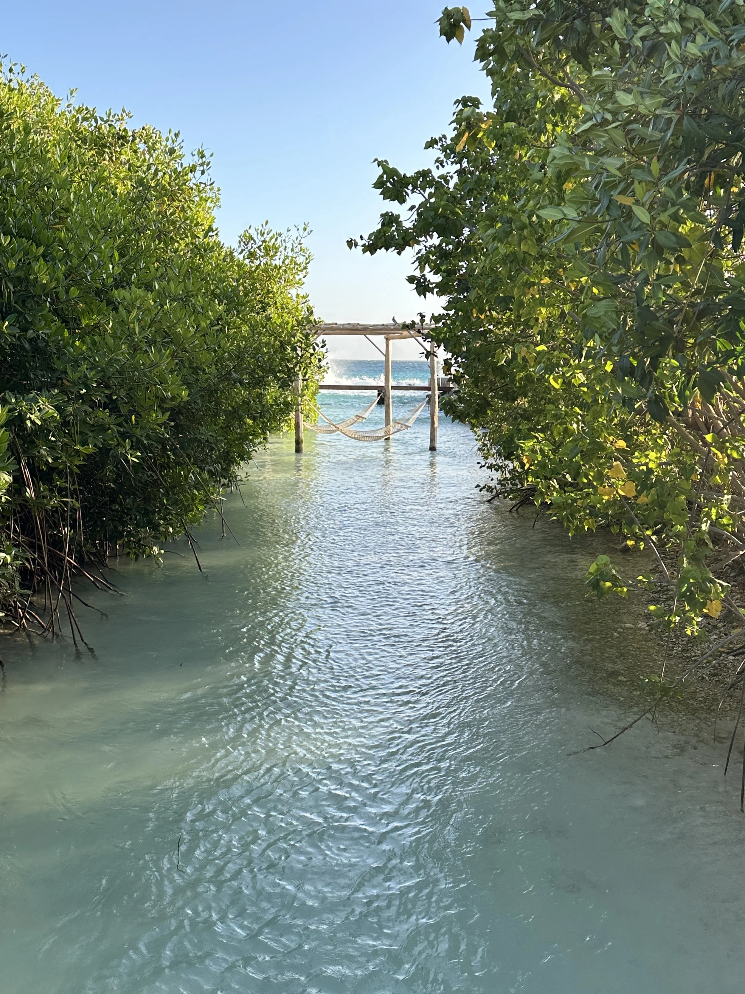 2024-05-20 18.00.40.jpg