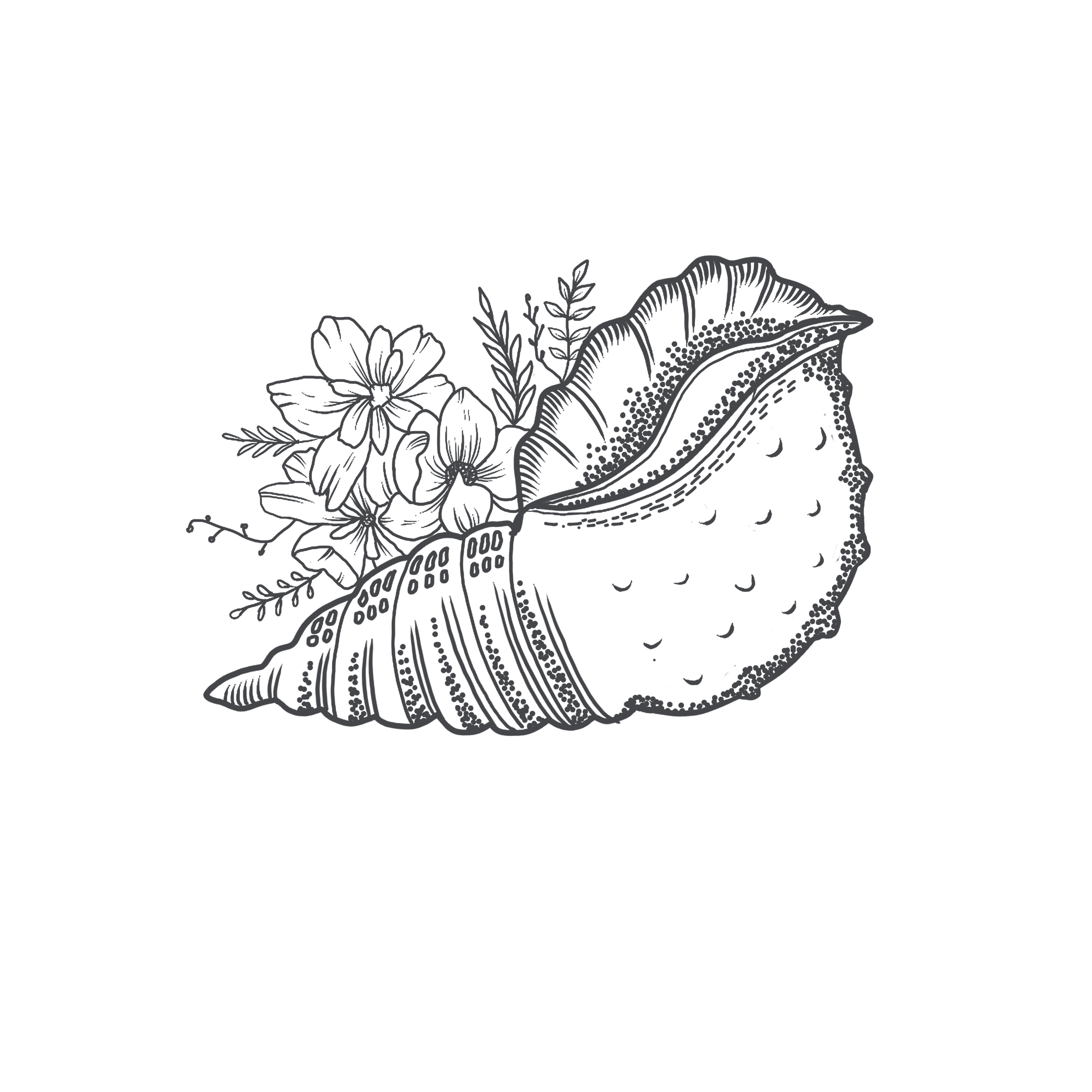 Illustration of a large seashell with flowers and leaves emerging from it, on a black background.