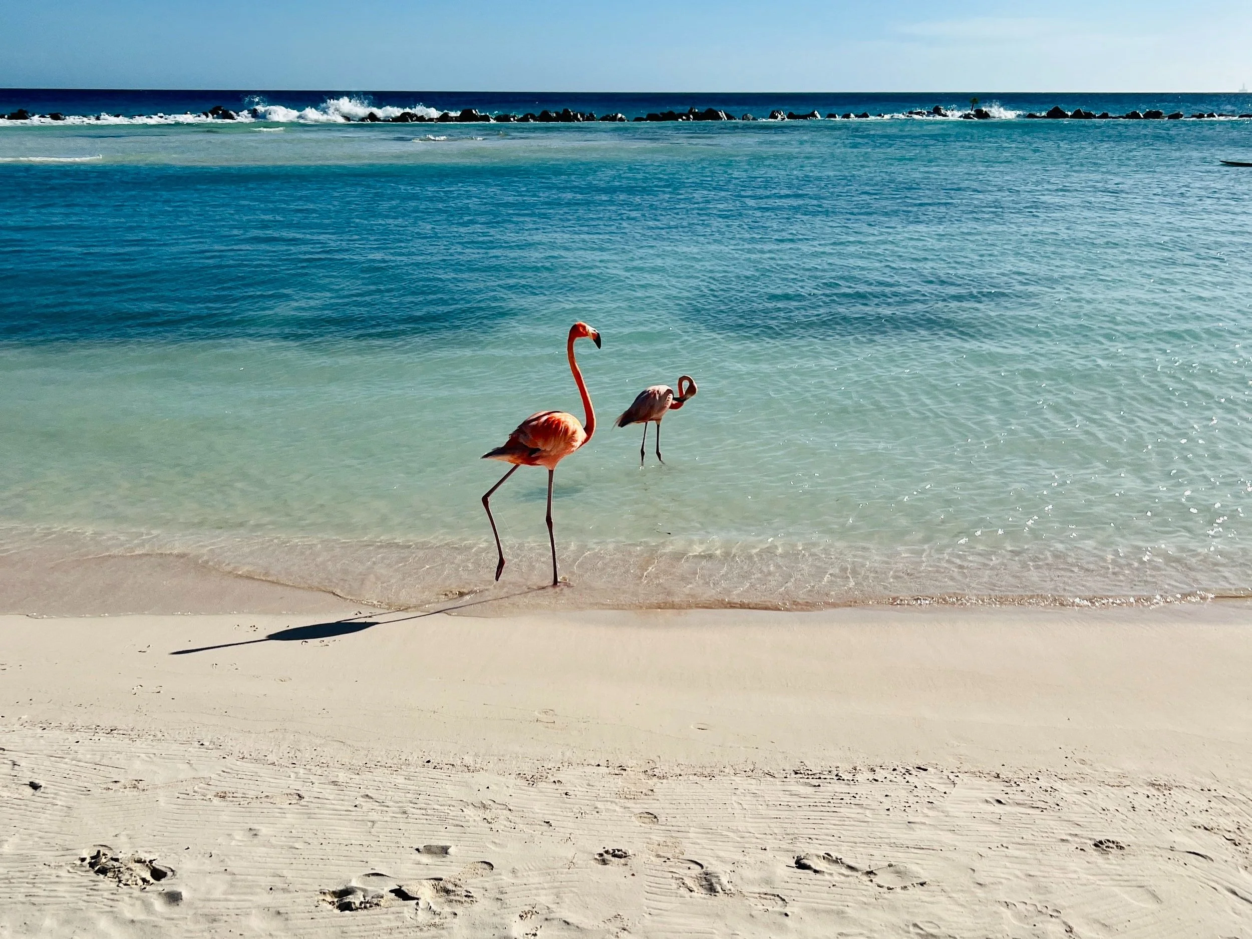 Aruba