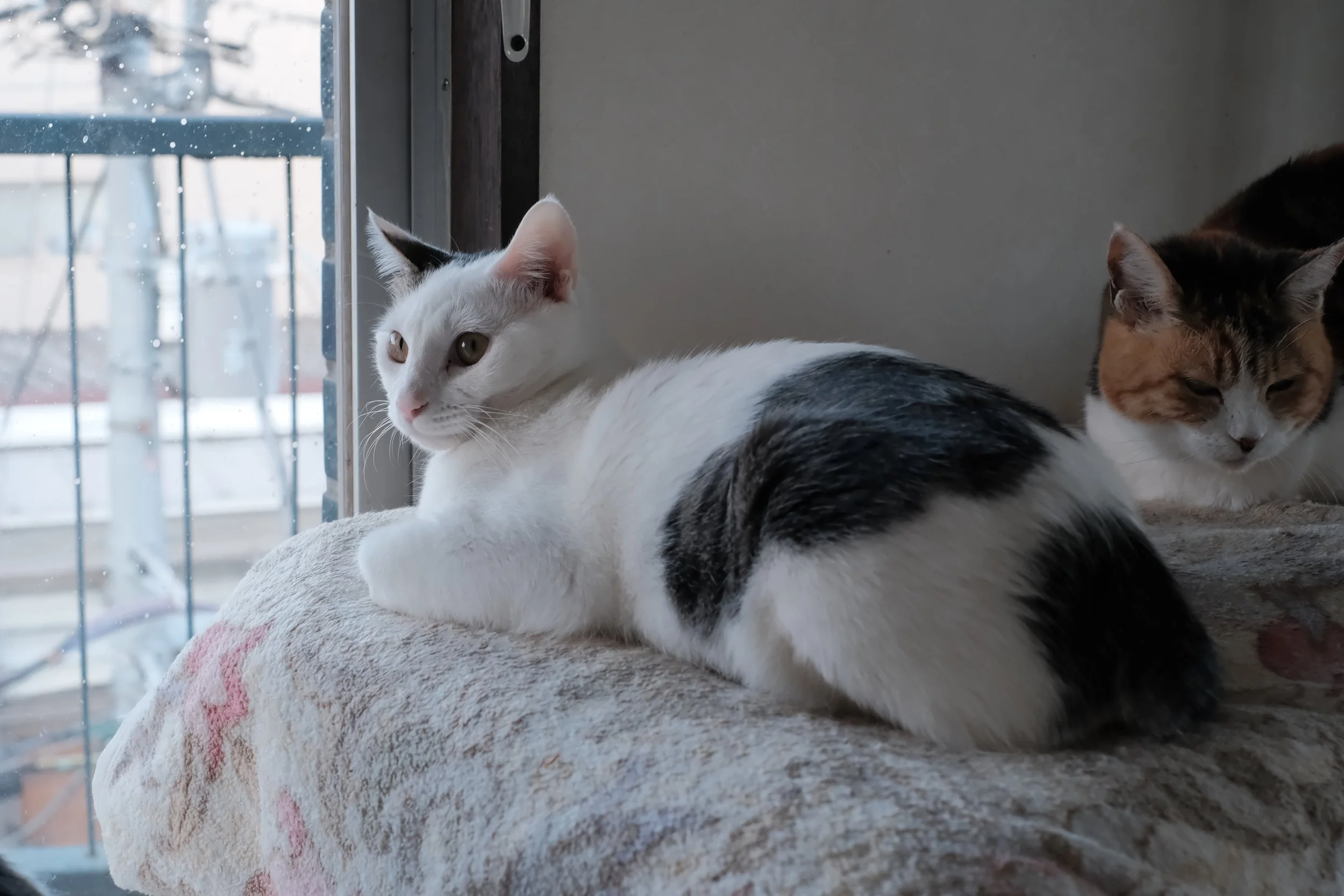 DSCF5856.JPG
