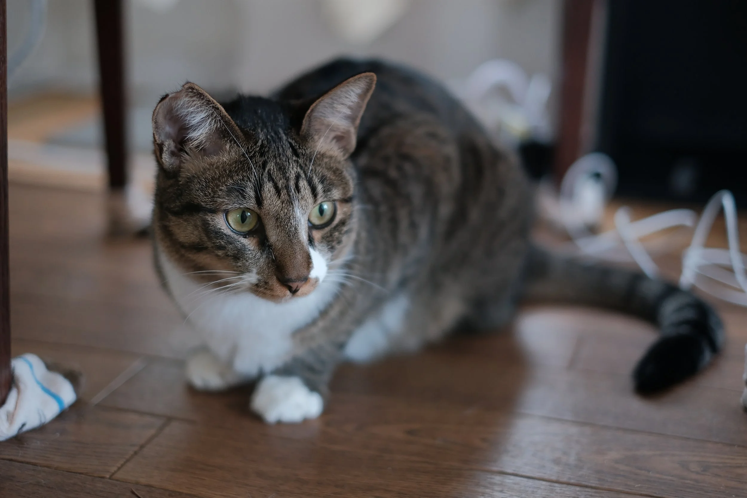 DSCF5772.JPG