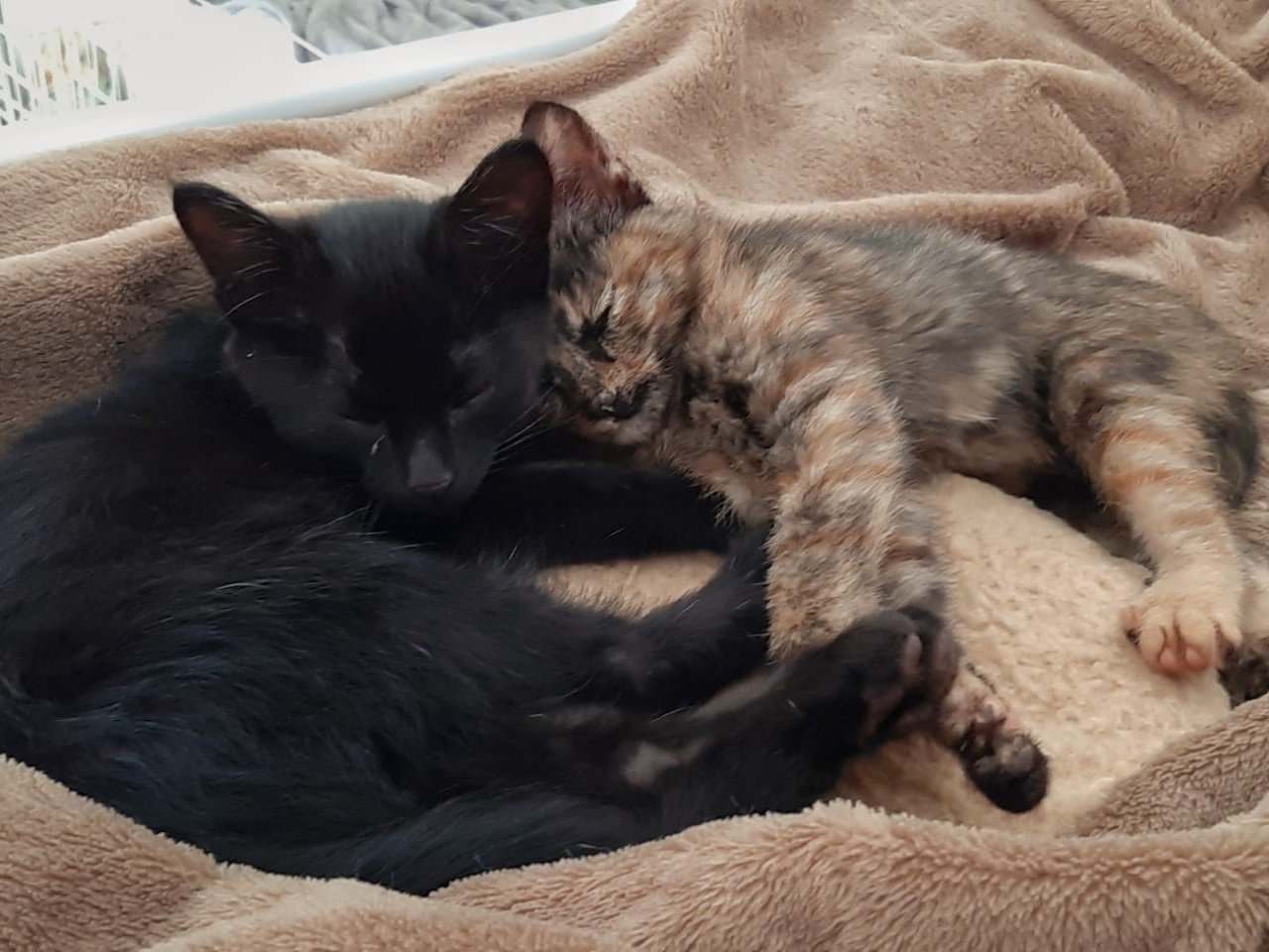Two is Better Than One
