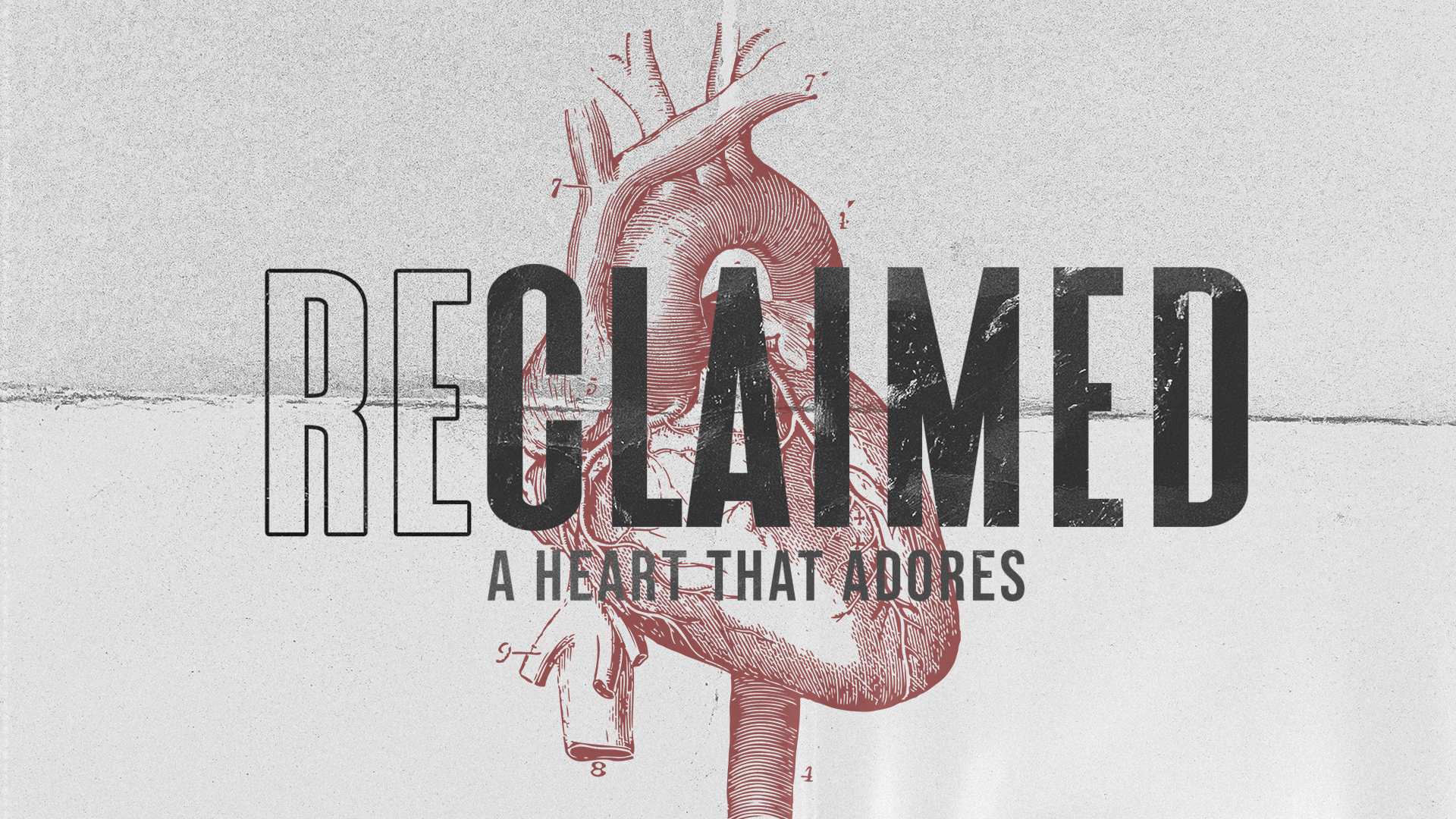 RE:CLAIMED / A heart that adores. 
