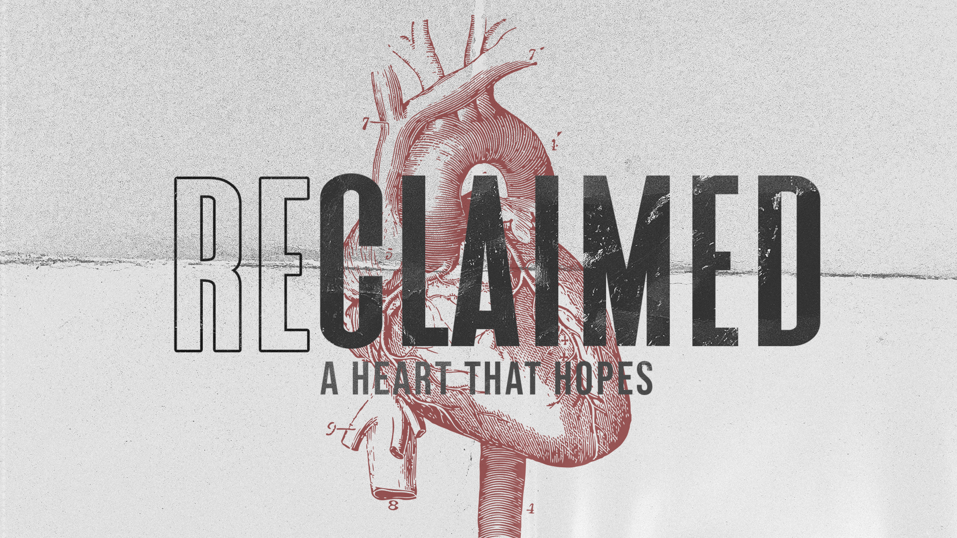 RE:CLAIMED / A heart that overflows. 