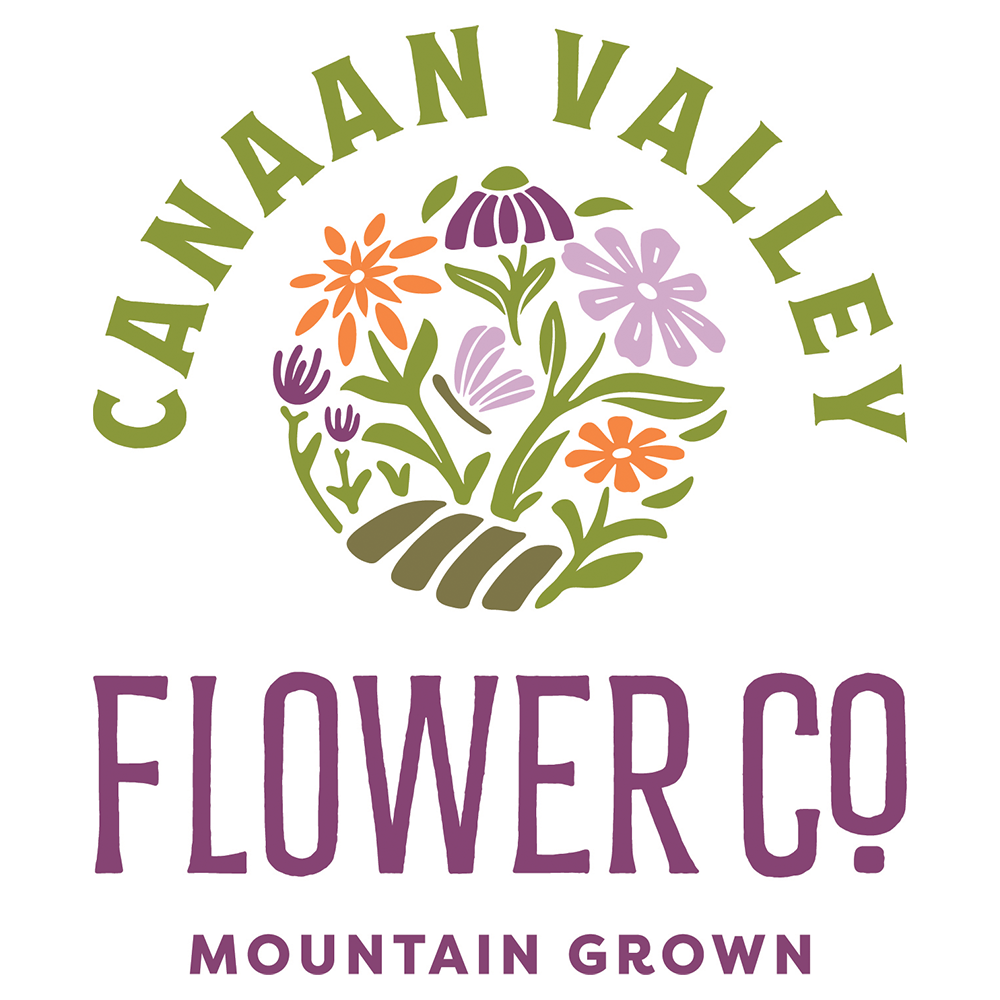 Pay Dirt Gift Certificates