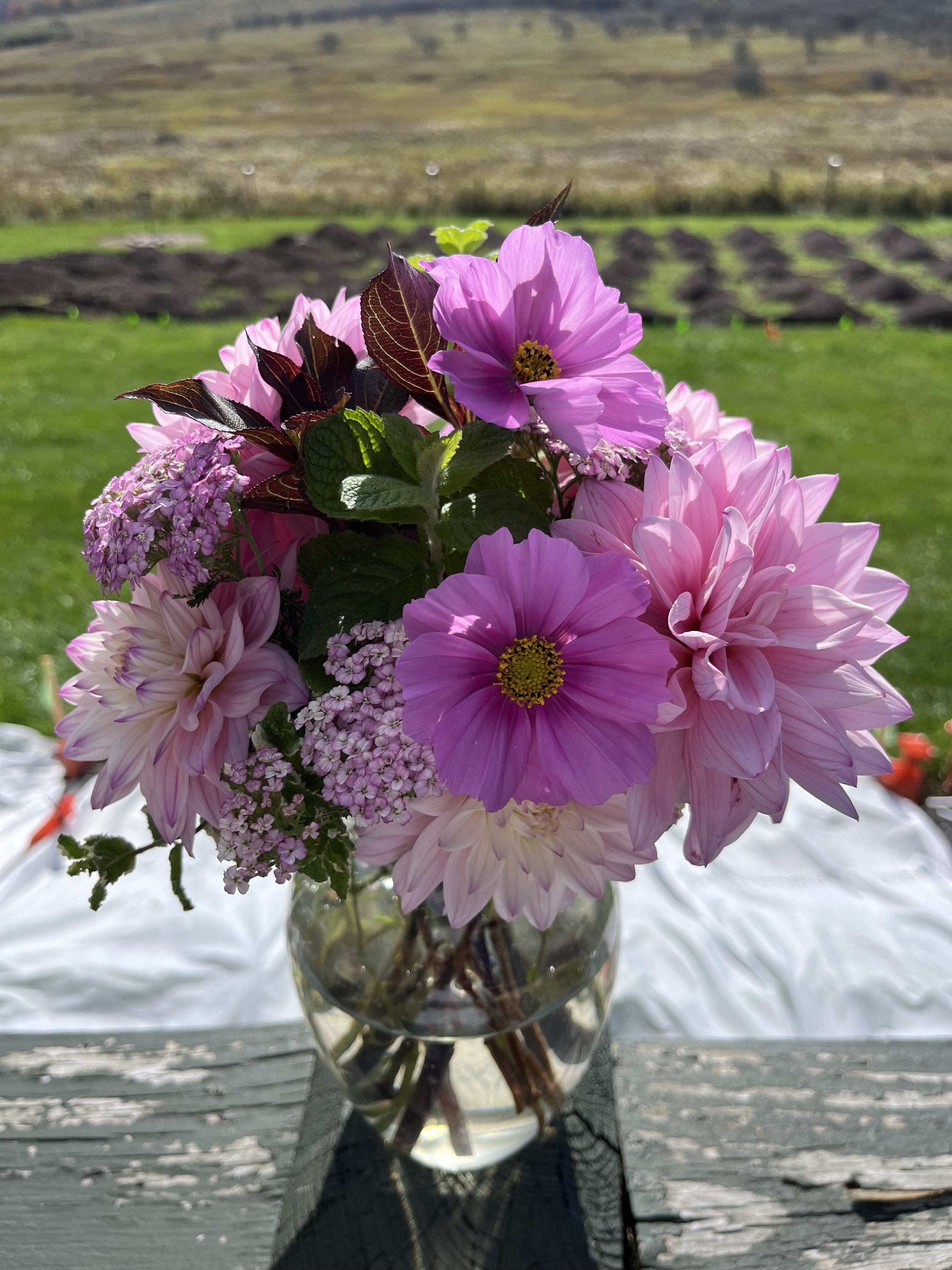 Dahlia Cosmos Bouquet 2024.jpg