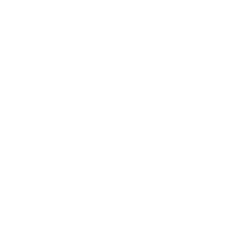 Developer & UX Designer