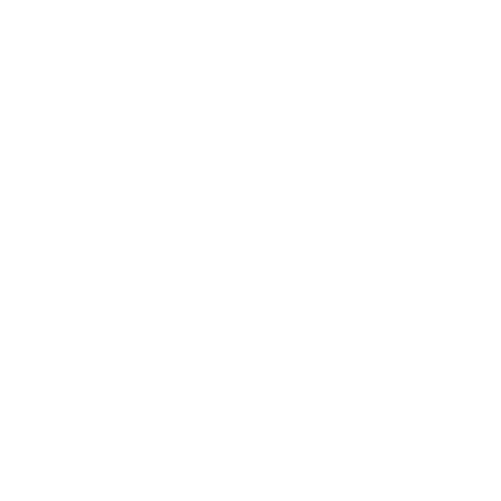 Developer & UX Designer