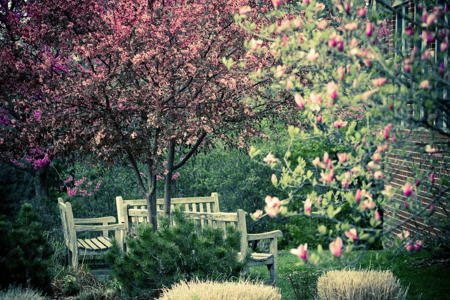 The Covenant Theological Seminary campus is closed today, May 25, in observance of the Memorial Day holiday.
ㅤ
(Photo from 2013)
ㅤ
#MemorialDay #SeminaryLife #CampusLife