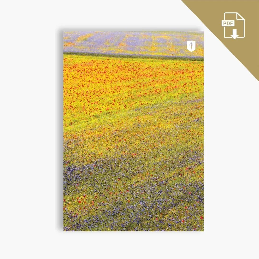 Covenant Magazine Spring 2025 - Digital Download (PDF)