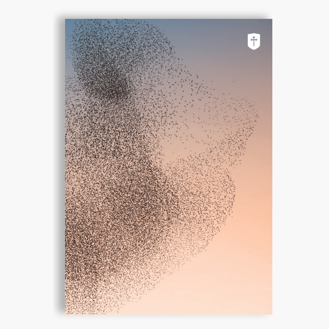 CovMag FA24 cover with drop.png