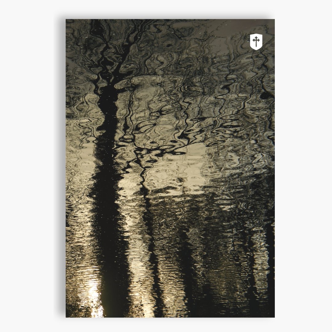 Cov Mag SP26 Store Cover.jpg