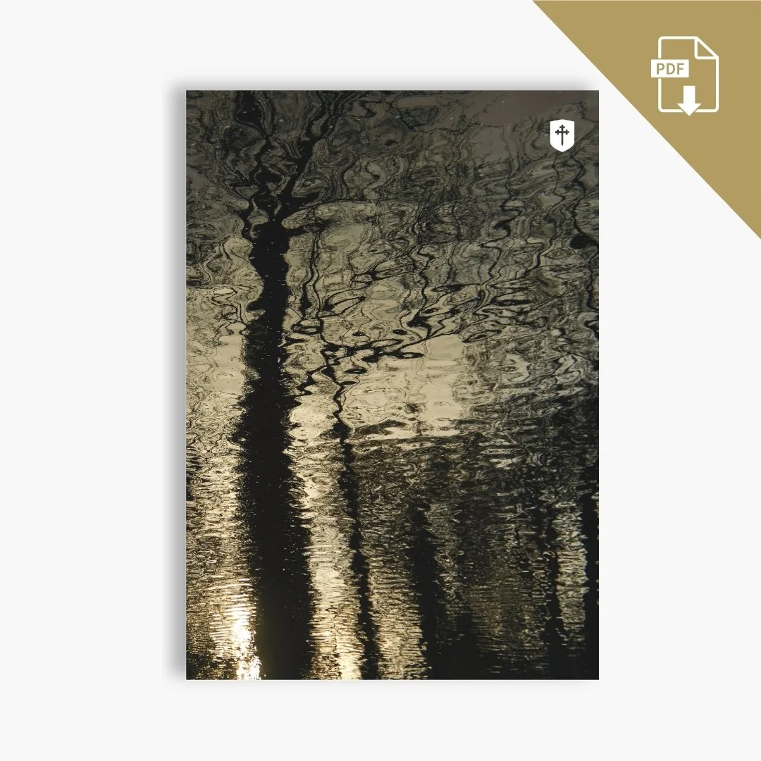 Cov Mag SP26 Store Cover Digital.jpg