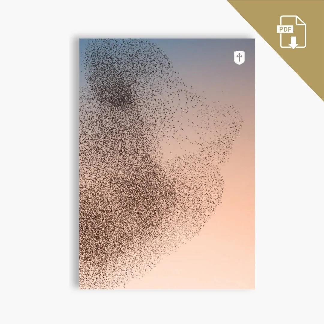 Covenant Magazine Fall 2024 - Digital Download (PDF)