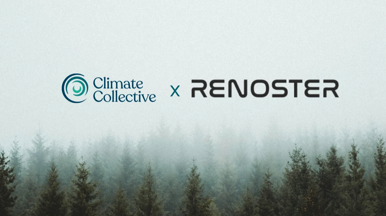 Pioneering Transparency and Integrity in the Voluntary Carbon Market: Renoster Joins the Climate Collective