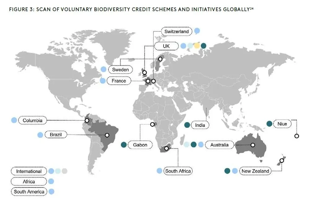 The state of the global Biodiversity Credit market