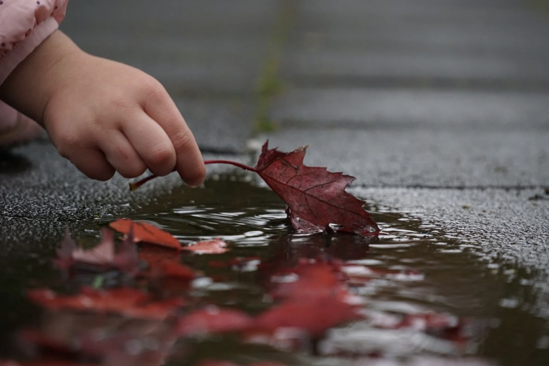 TÄIDAD AGA AGARALT HEAOLU “TASSI”? MUL EI OLE SELLIST TASSI. MA OLEN OOKEAN, KES AJAB ENNAST VAHETEVAHEL VIHMAPIISAGA SASSI.