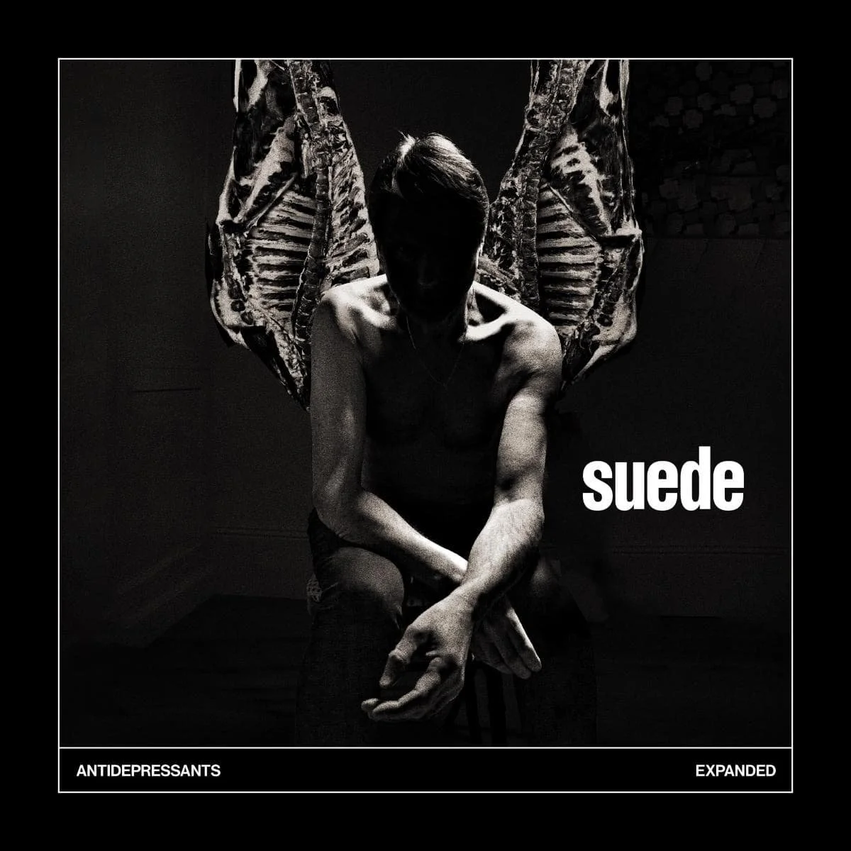 Suede - Anti Depressant