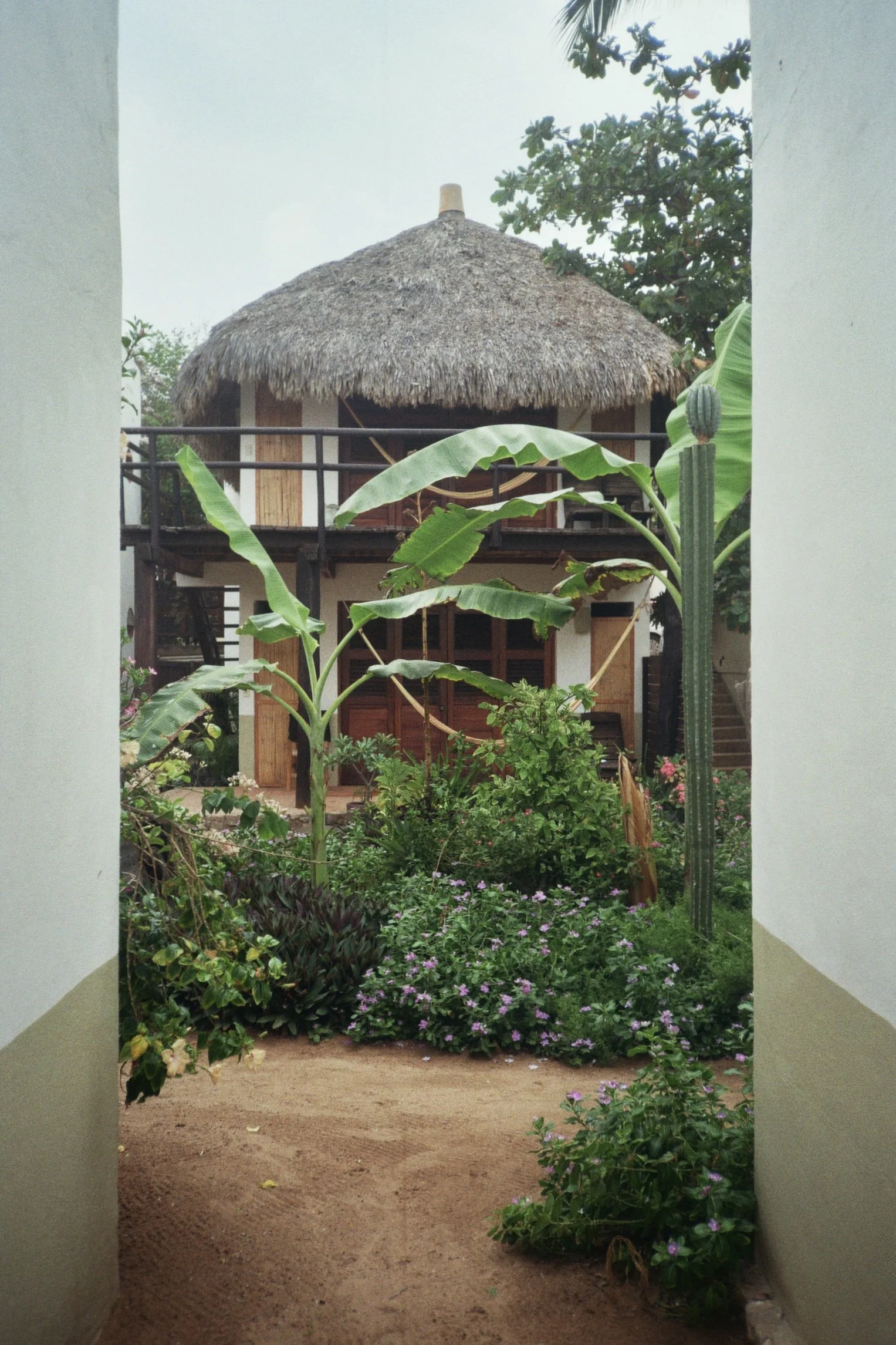 32A_02865 2.jpg