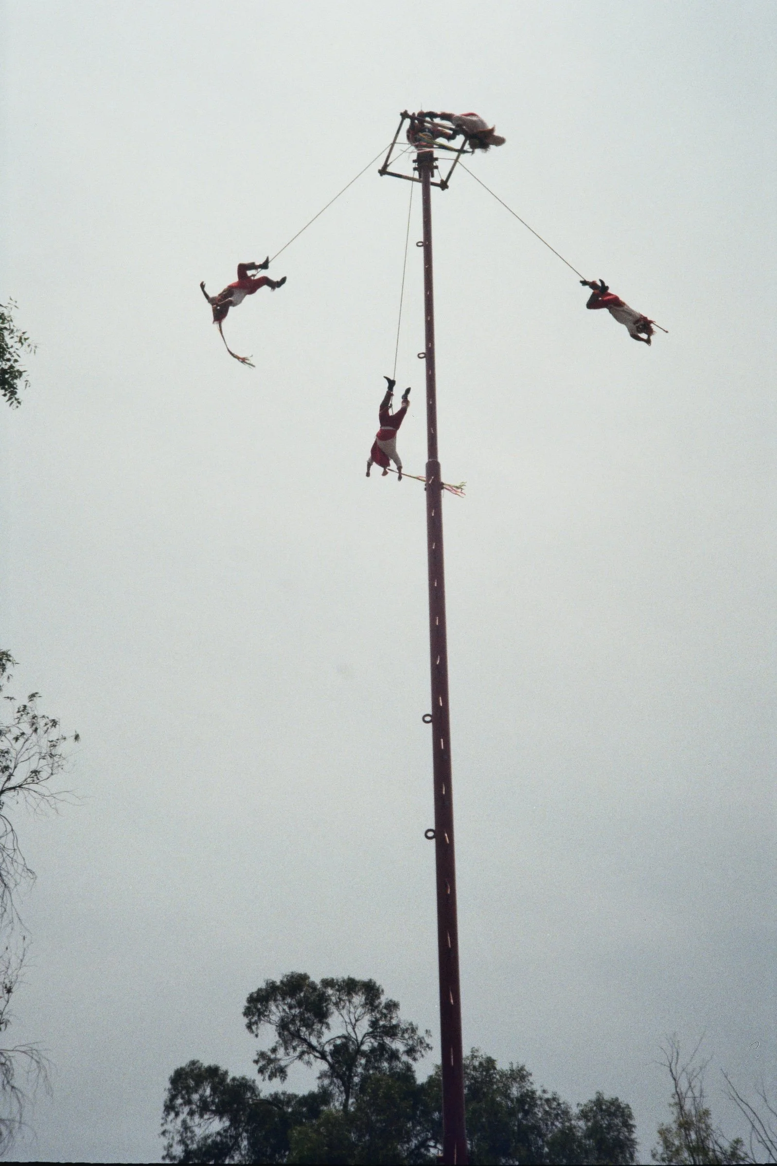 __6_02805.jpg