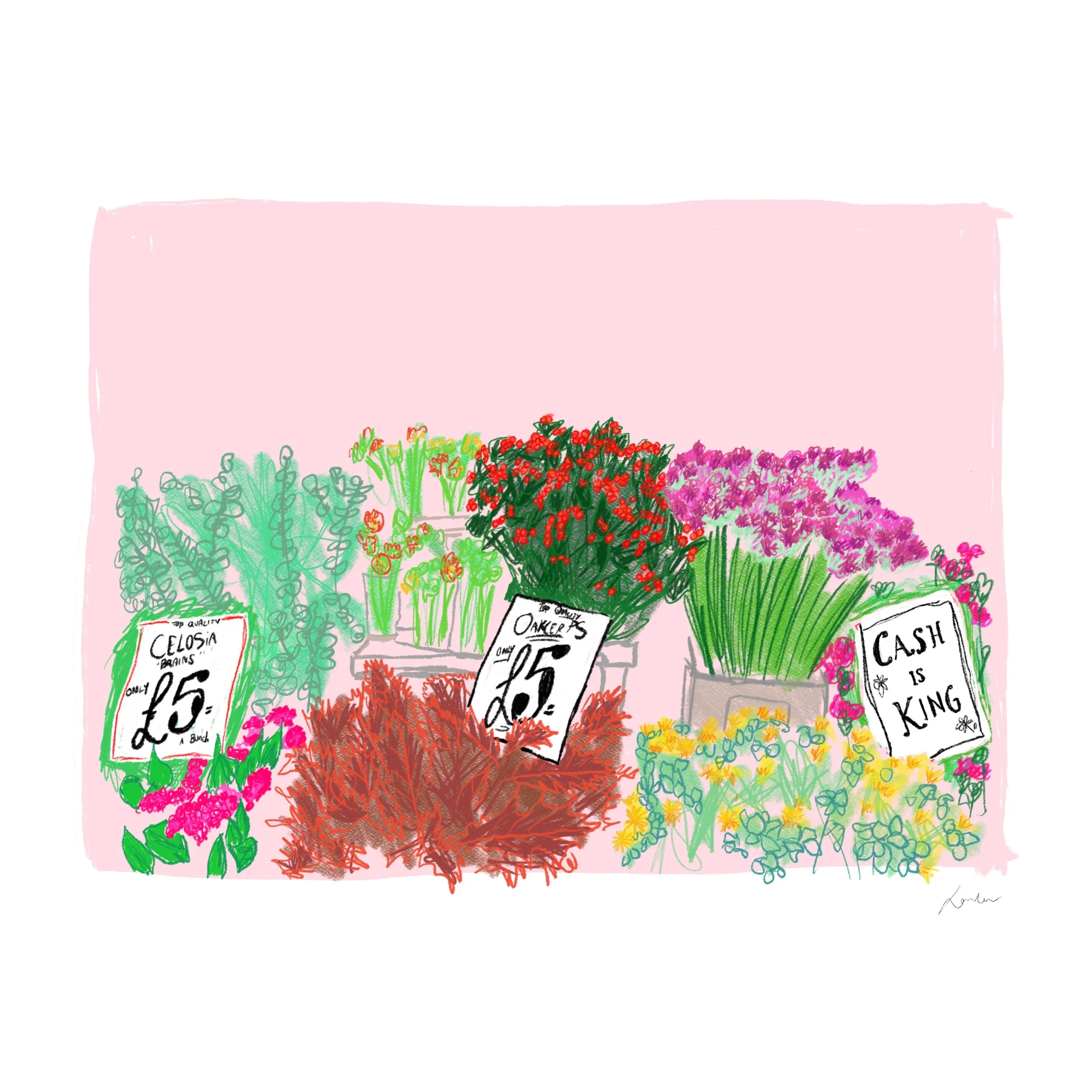 249DFA69-E2B3-43B0-B7F6-1B323A61881D.jpeg