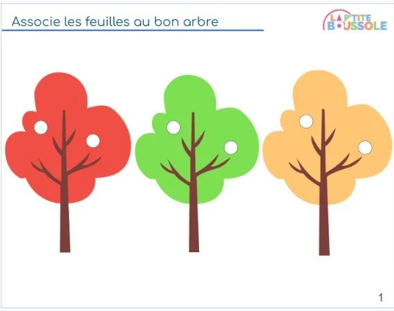associ couleurs 1.jpg
