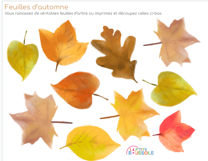 jeu feuilles 4.png