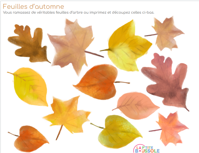 jeu feuilles 6.png