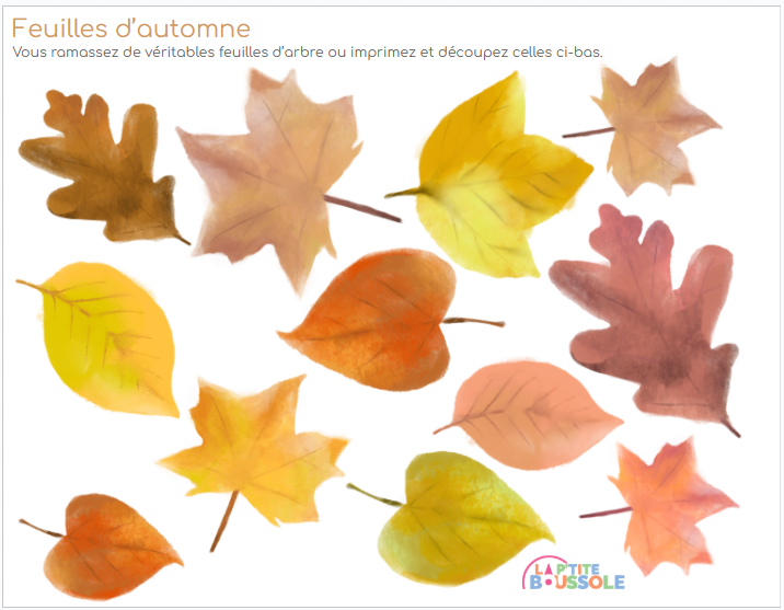 jeu feuilles 5.png