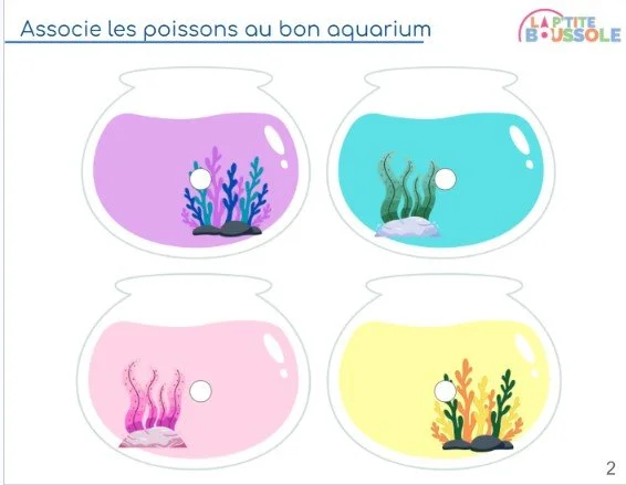 associ couleurs 2.jpg