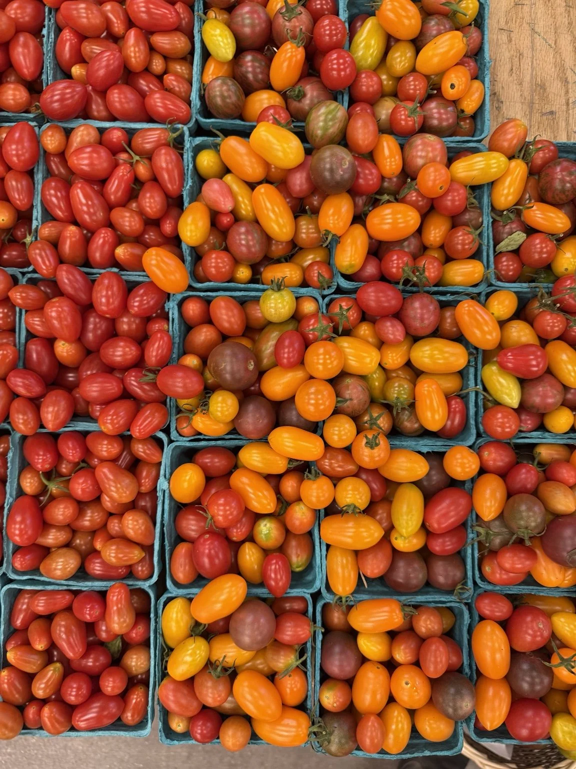 A colorful selection of fresh tomatoes.