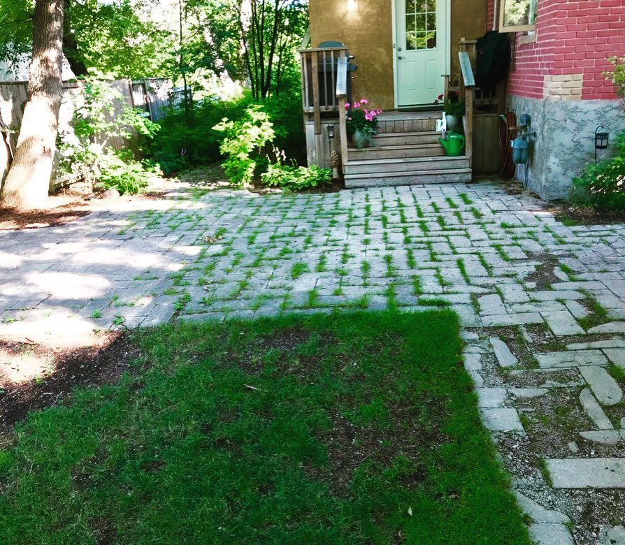 Check out these before and afters!

#winnipeg #landscape #manitoba #landscaping #fli