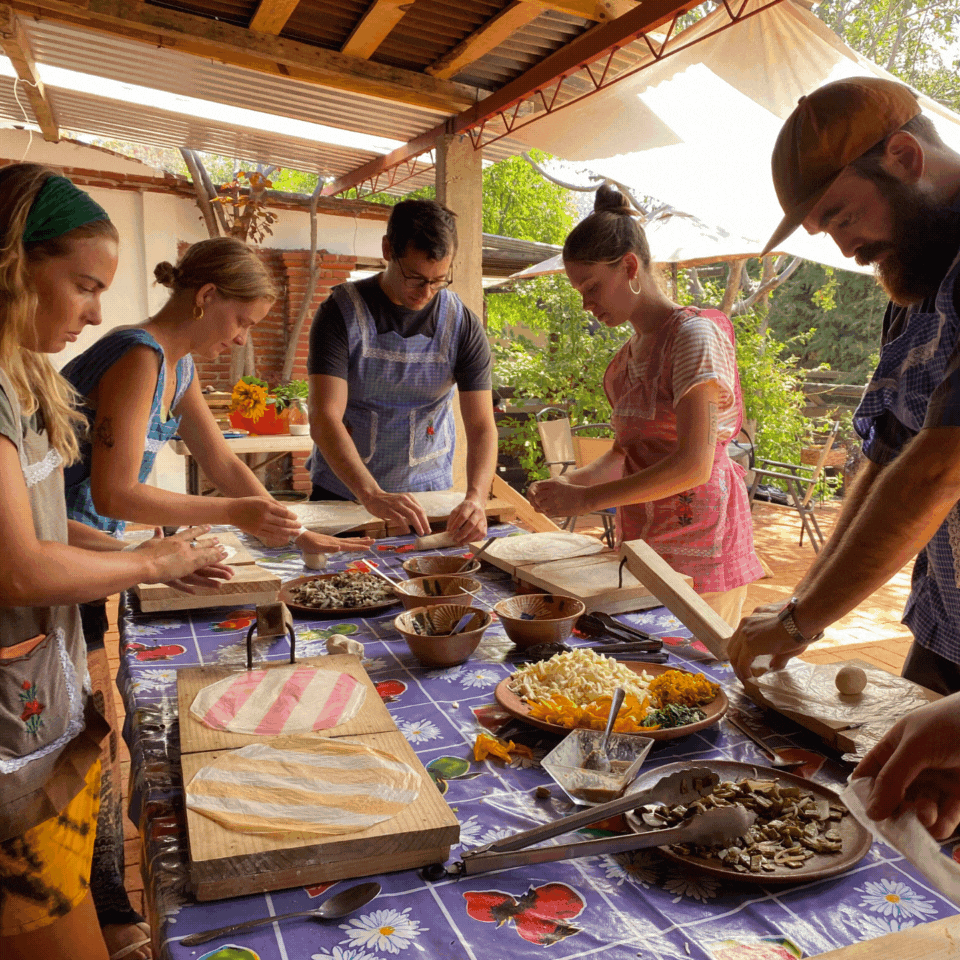 a short story about how a day at Quinta Brava looks like,  new friends, new food lots of fun