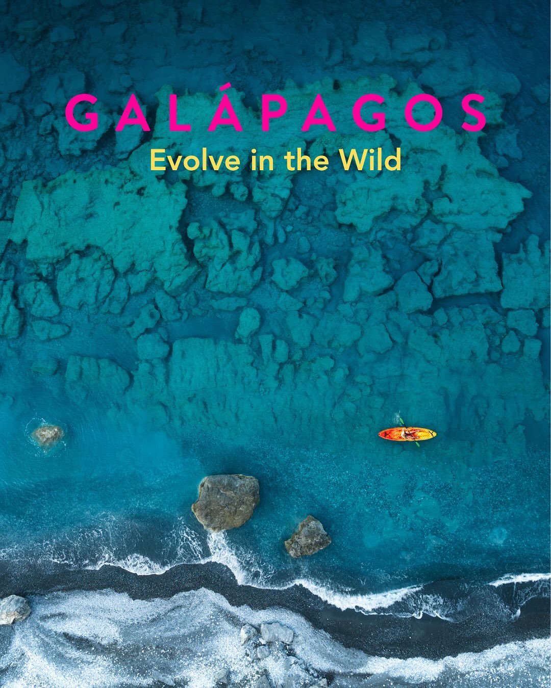 ✨ Few spaces remain for our iRise Above GAL&Aacute;PAGOS Island-Hopping Adventure &ndash; April 2026! Dive into crystal waters, walk among sea lions, and rediscover your wild, radiant self through sisterhood, nature, and reflection. This transformati