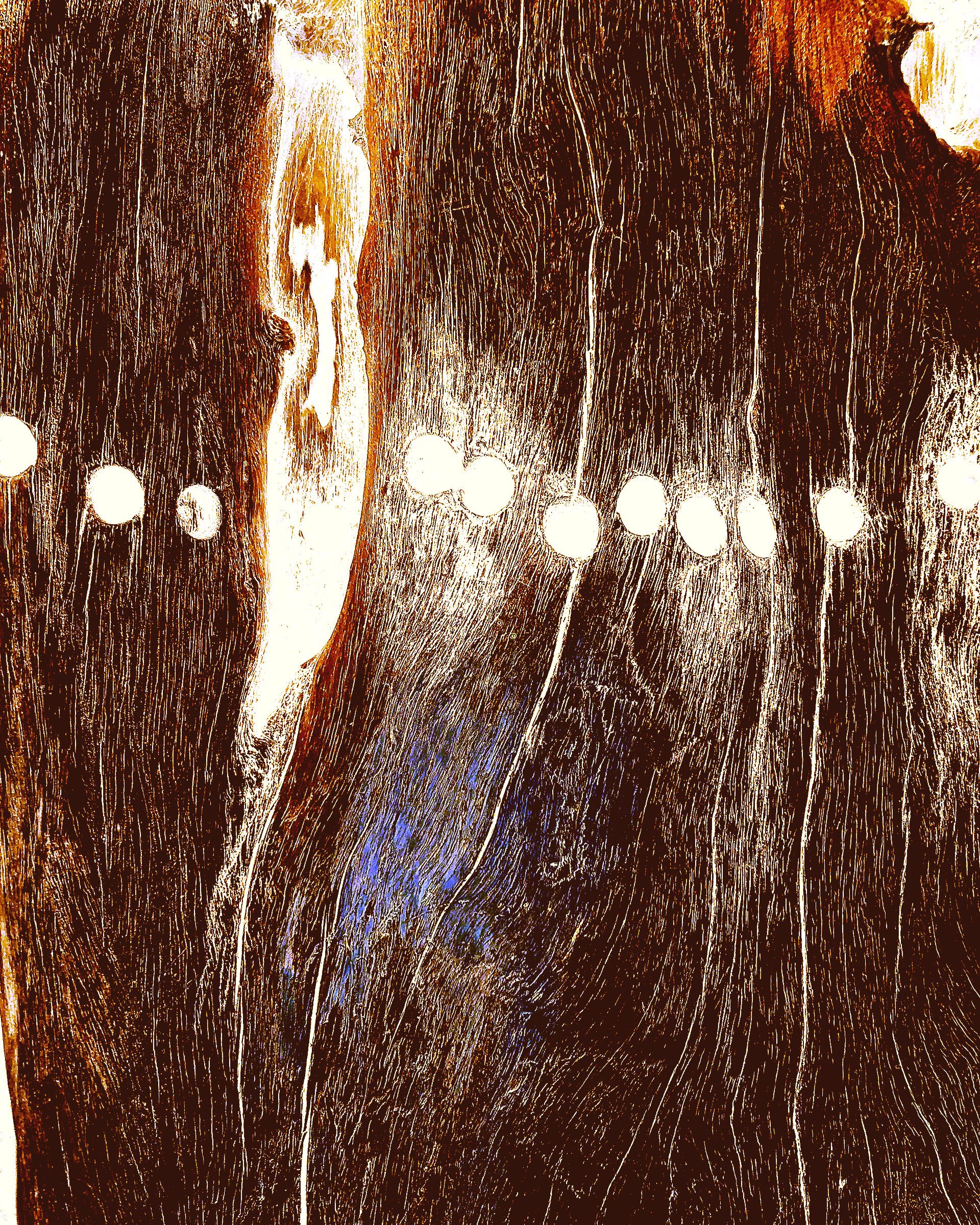 'Physis'