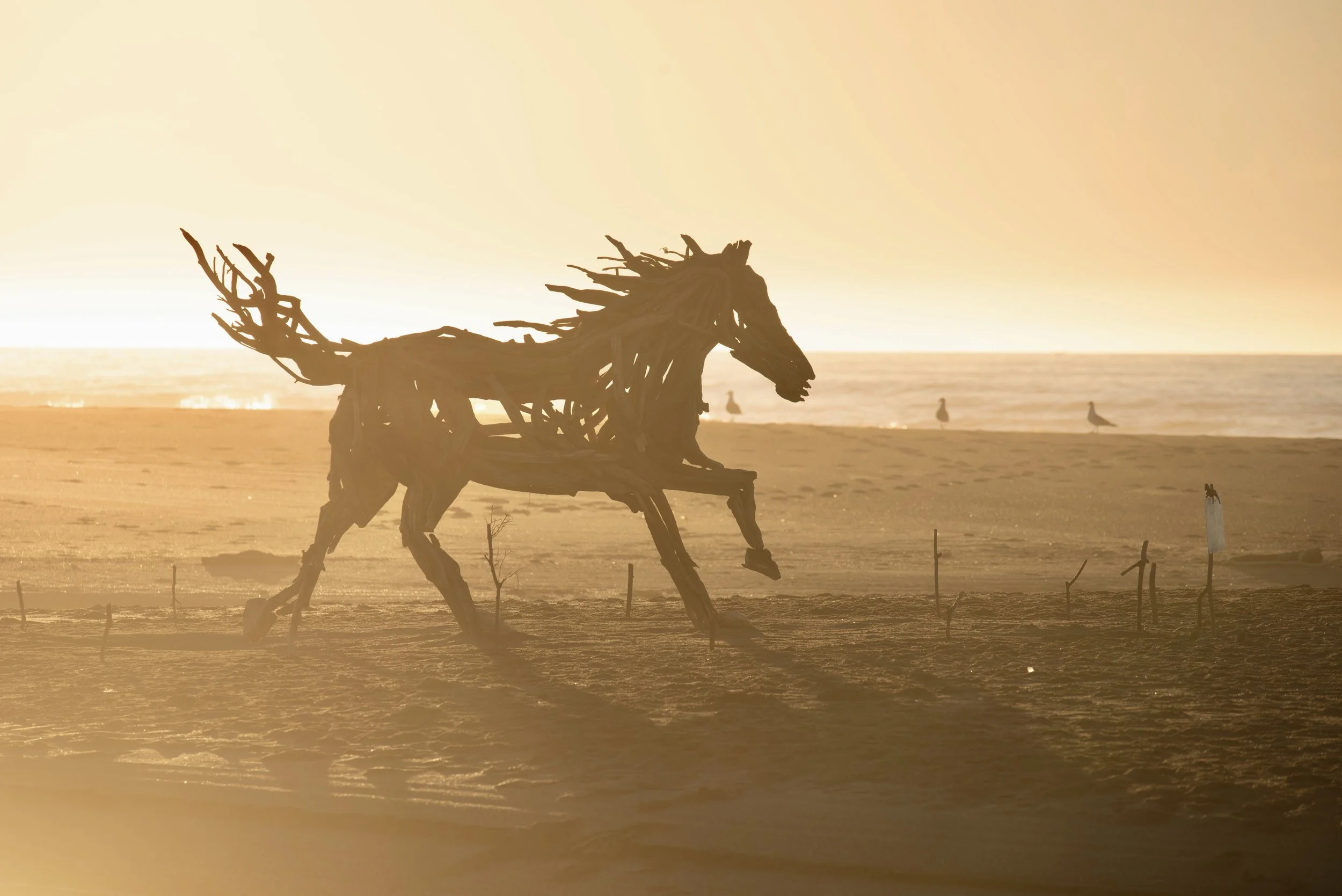 Blake McFarland Driftwood Horse BM sculptures