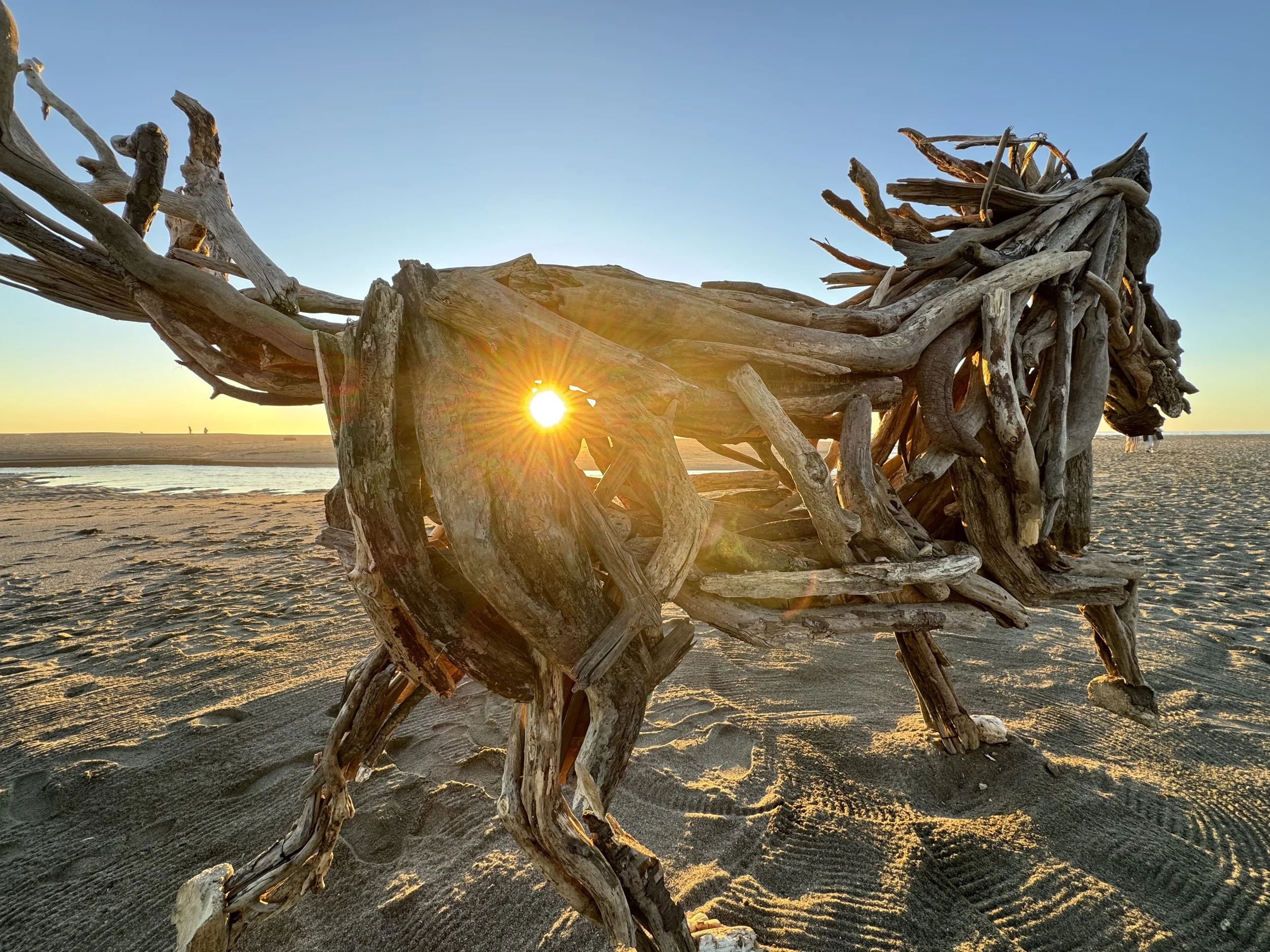 Blake McFarland Driftwood Horse BM sculptures
