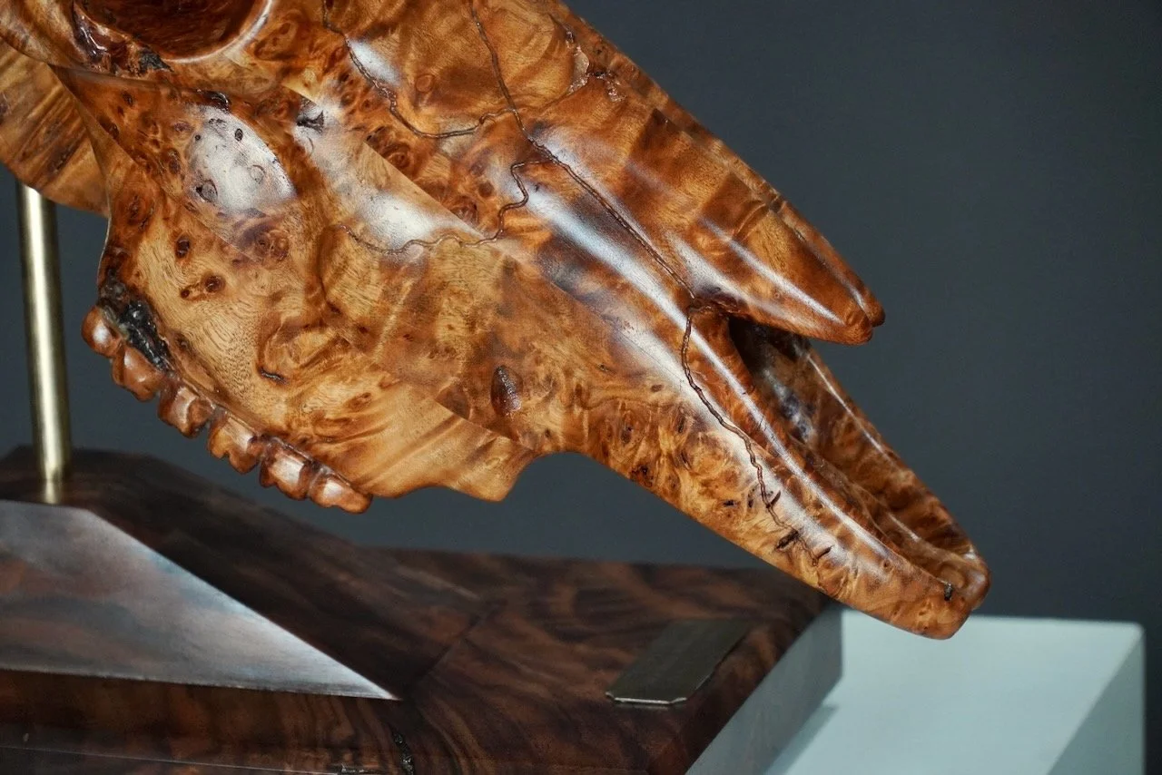 Bullseye,  Blake McFarland BM sculptures Bull Skull