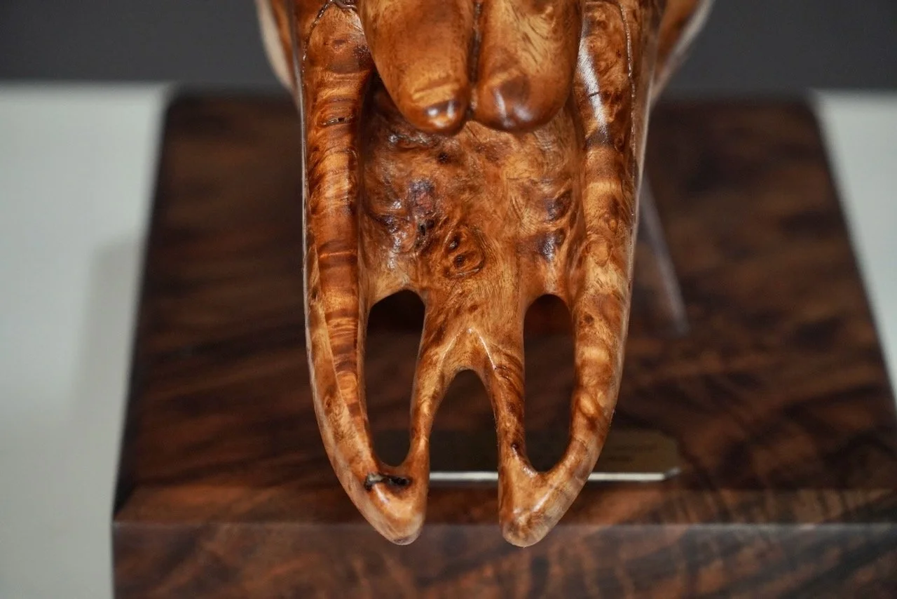 Bullseye,  Blake McFarland BM sculptures Bull Skull