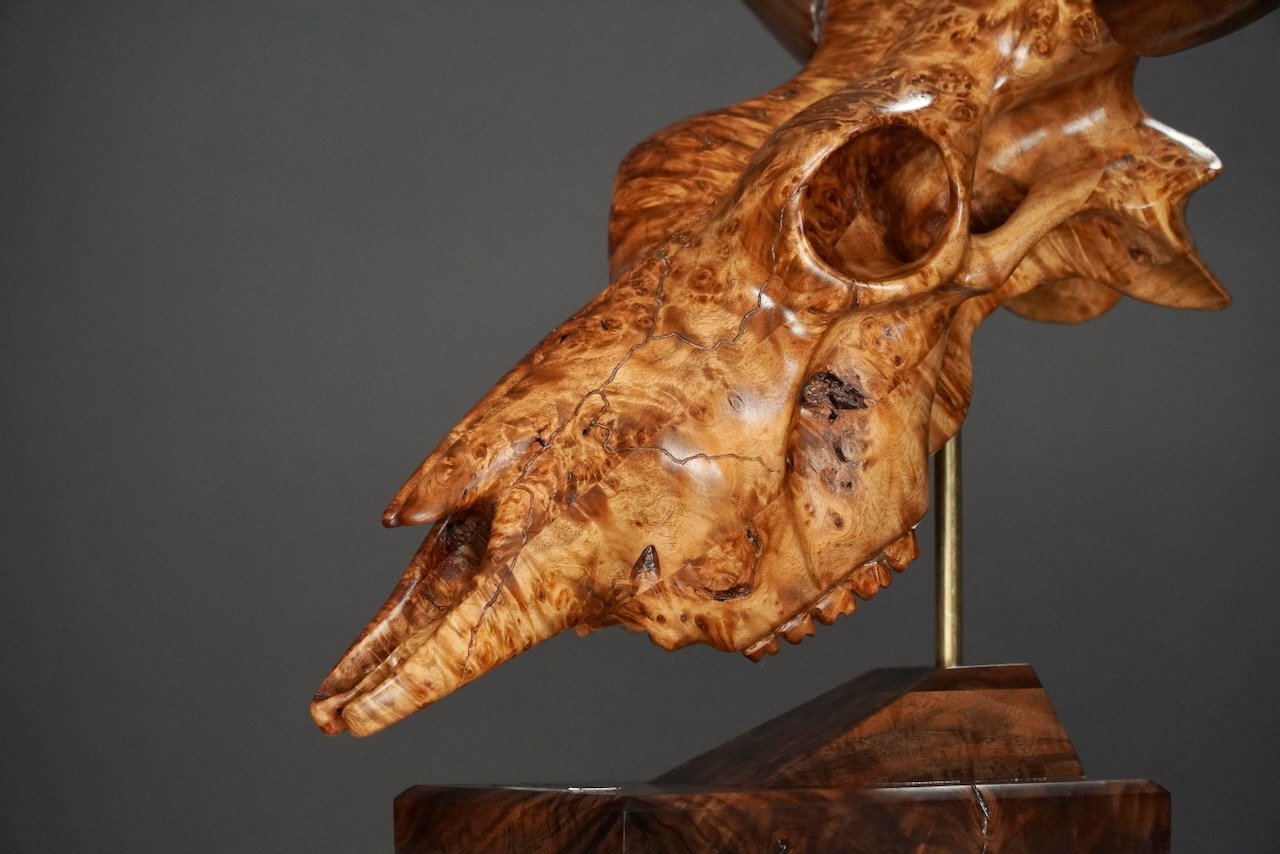 Bullseye,  Blake McFarland BM sculptures Bull Skull
