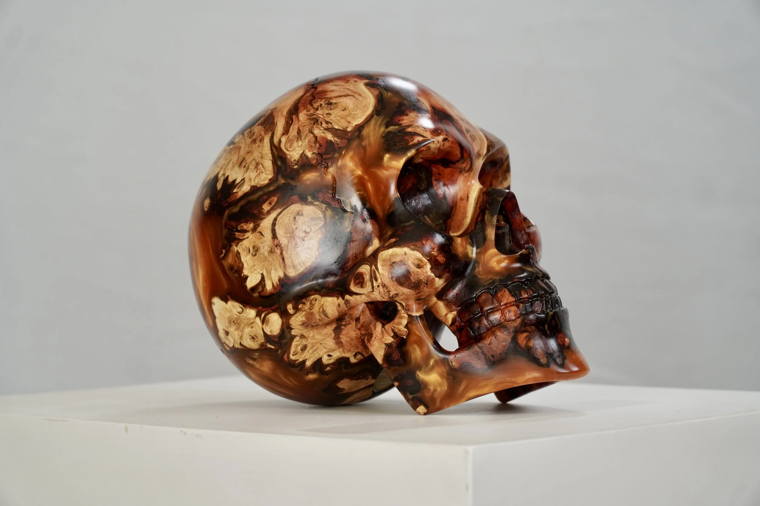 Golden Carob Skull — Blake McFarland Sculptures