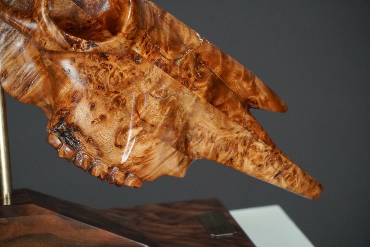 Bullseye,  Blake McFarland BM sculptures Bull Skull