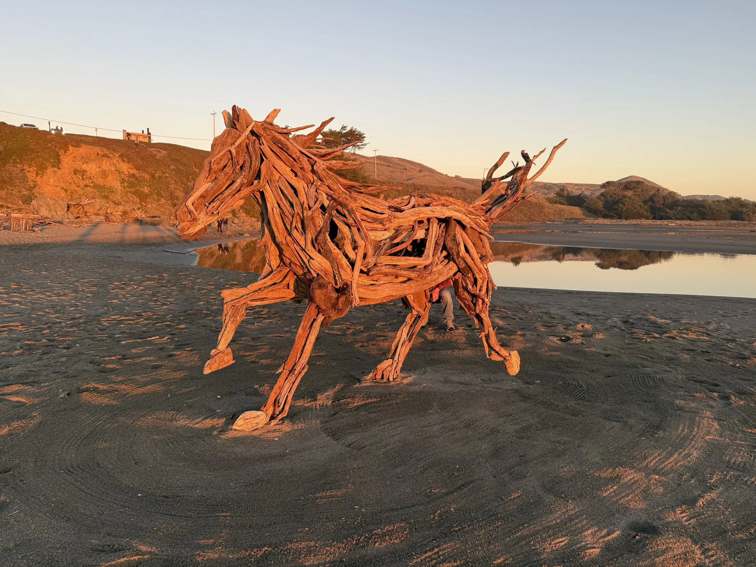 Blake McFarland Driftwood Horse BM sculptures