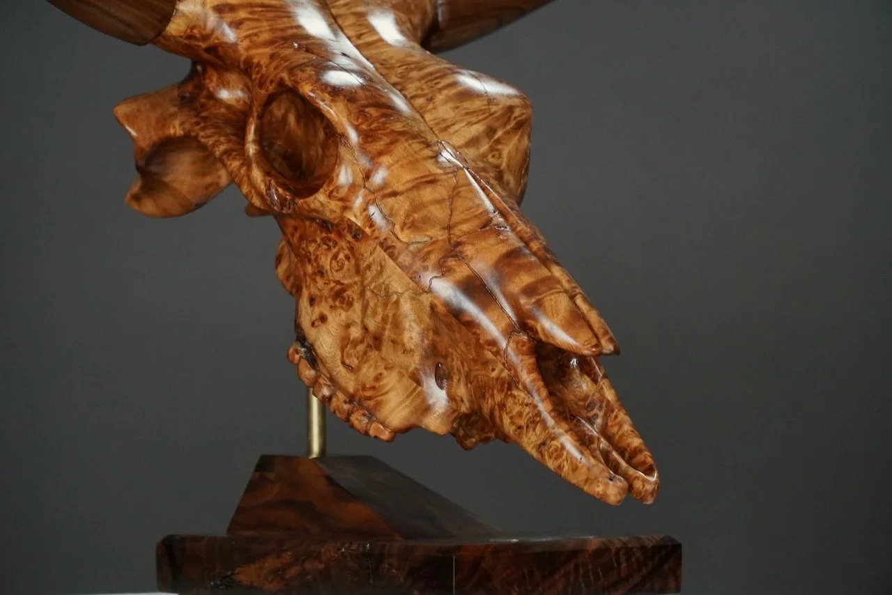 Bullseye,  Blake McFarland BM sculptures Bull Skull